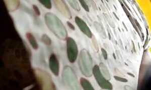 二つのpussiは甘いです 女性 向け セックス 動画