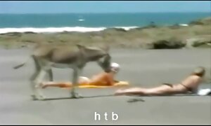 キッチンムーディービッチでクソ 女性 向け 動画 痴漢