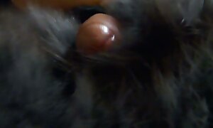 ゲイゲームの最初の入札の二つのレズビアン若い初心者 男性 向け av 動画