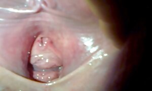 若い男をからかうのが好きな女性 アダルト 動画 一徹